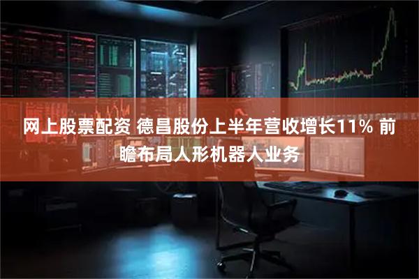 网上股票配资 德昌股份上半年营收增长11% 前瞻布局人形机器人业务