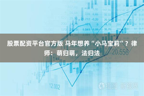 股票配资平台官方版 马年想养“小马宝莉”？律师：萌归萌，法归法